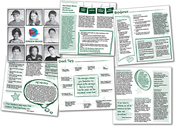 red flags green book